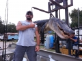 Florida public water gator